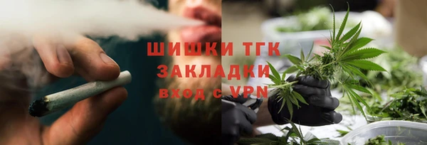 мдпв Горнозаводск