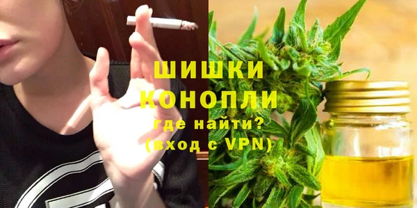 мдпв Горнозаводск