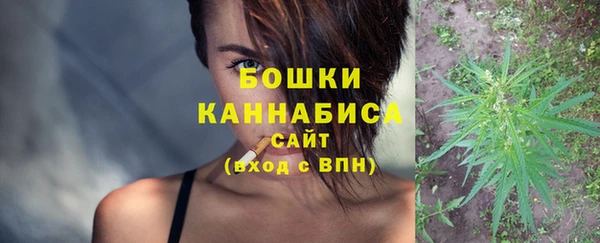 стаф Гусь-Хрустальный