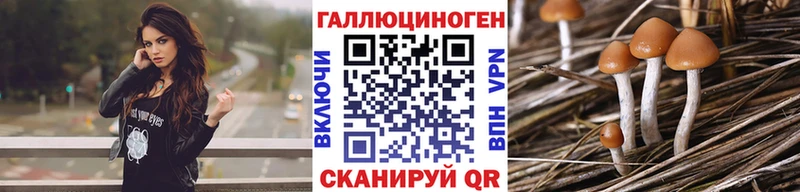 Псилоцибиновые грибы MAGIC MUSHROOMS Серафимович