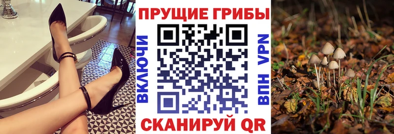 Купить закладки  Серафимович  Псилоцибиновые грибы Magic Shrooms 
